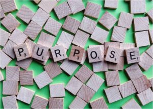 Read more about the article Pursuing Purpose